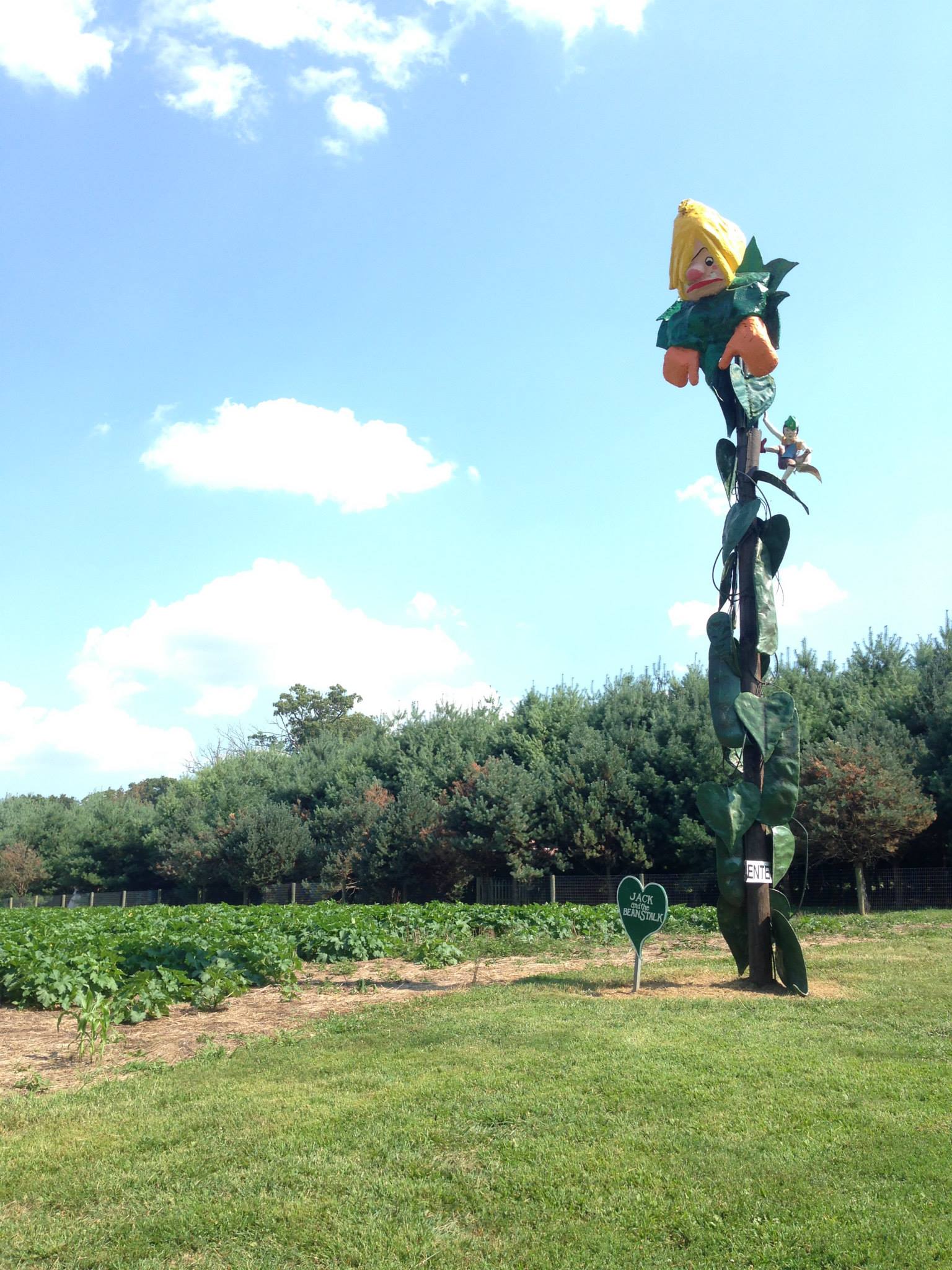 Field with large beanstalk sculpture from the Enchanted Forest