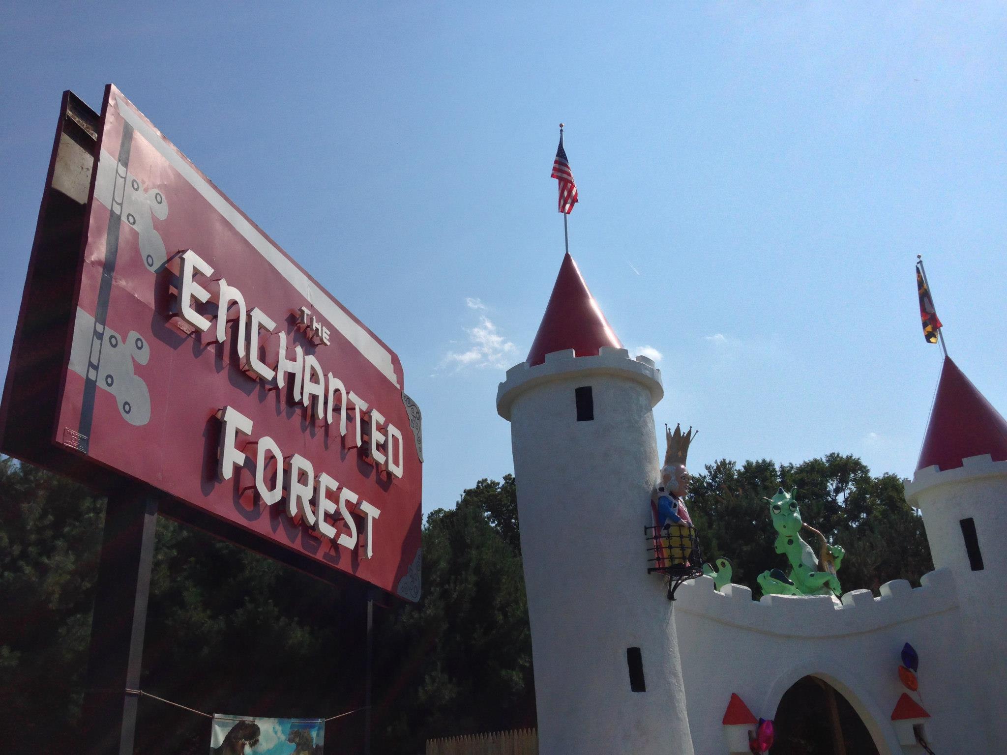 Enchanted Forest Castle