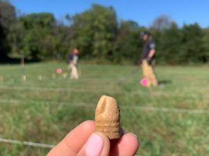 Archaeological investigations at South Mountain Battlefield, October 2019.