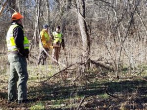 Archaeologists conducting a site survey to find Fort Tonoloway in Maryland, 2019.